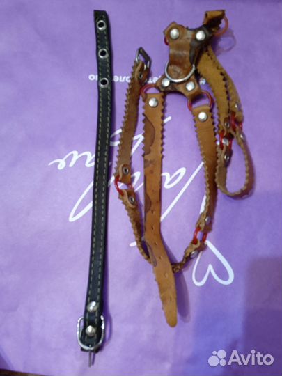 Костюмы для собак