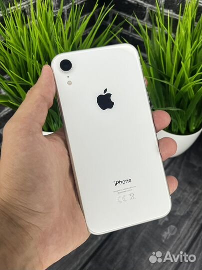 iPhone Xr, 64 ГБ