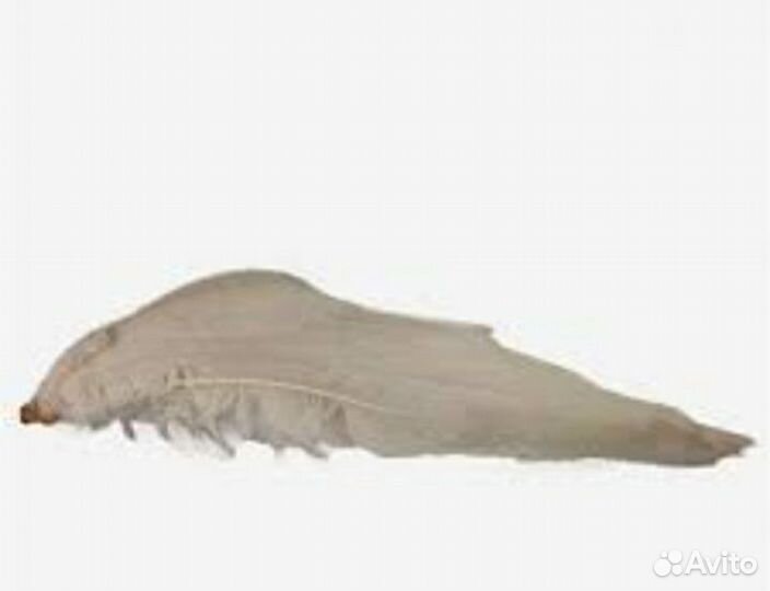 Гусиное крыло