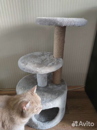 Когтеточка с домиком