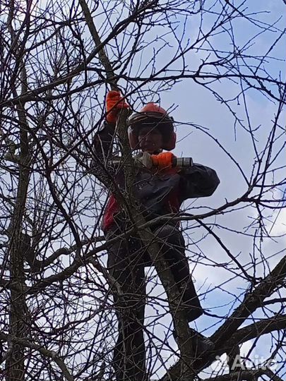 Дрова, мульча, сено, щепки в мешках