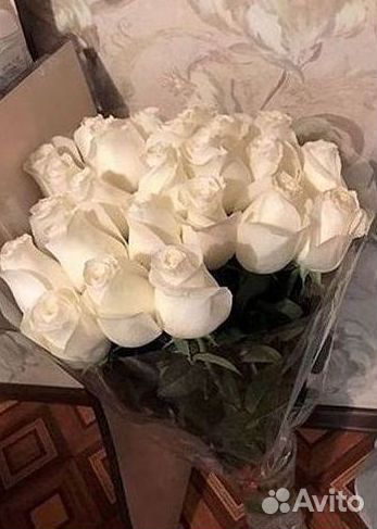 Розы Высокие 150см 160см 170см 180см 190см 2м