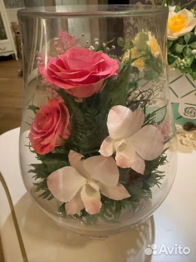 Живые стабилизированные цветы