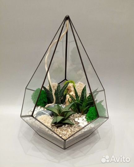 Флорариум. Суккуленты. Ижевск