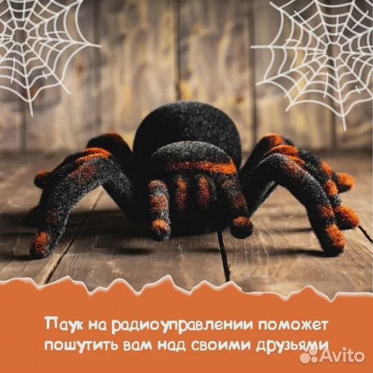 Паук радиоуправляемый 