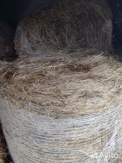 Сено в тюках