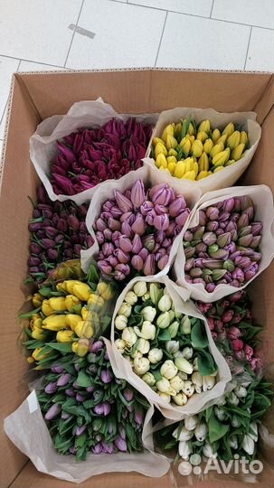 Тюльпаны оптом К 8 марта