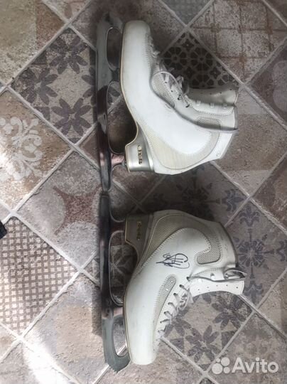 Оньки фигурные edea ICE FLY 245