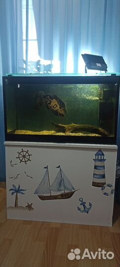 Аквариум с рыбками