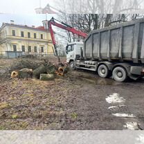 Вывоз мусора, веток, деревьев, пней, хлама, Пушкин