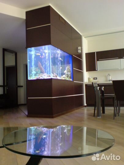 Обслужу и оформлю аквариумы
