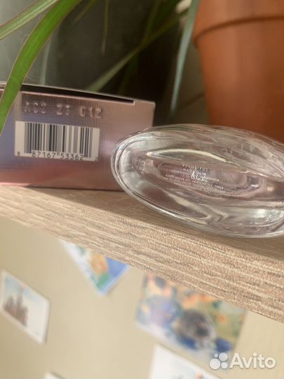 Beautiful Magnolia Estée Lauder