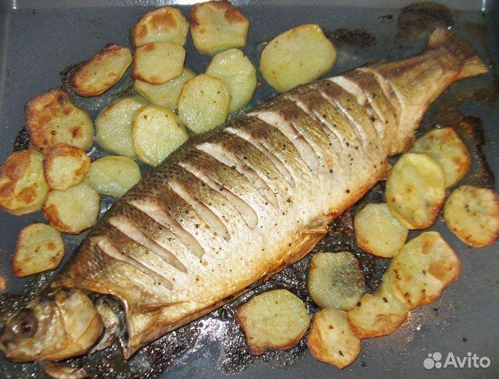 Рыба для гриля. Из хмао