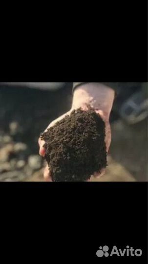 Жирный чернозем Навоз готовый,газ,камаз 15т,зил 5т