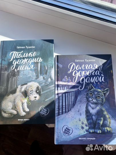 Долгая дорога домой, книги Евгении Русаковой