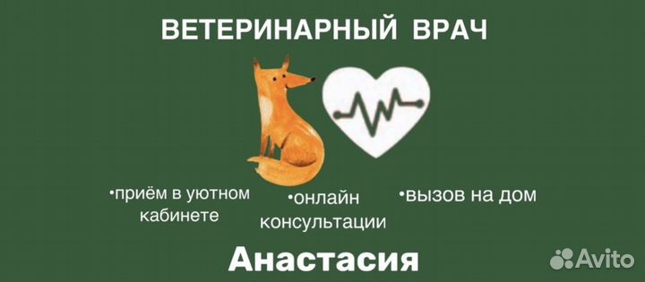 Ветеринарный врач