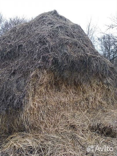 Продам сено номер для звонка