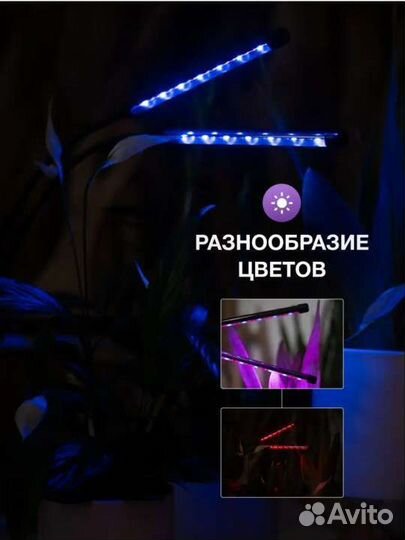 Фитолампа для растений. Новое