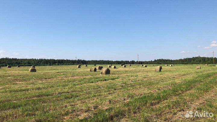 Сено в рулонах 2024