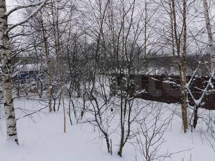 Участок 6,6 сот. (СНТ, ДНП)