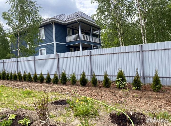 Туя смарагд