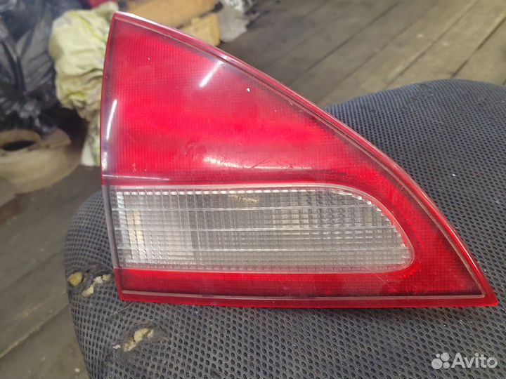 Задние стопы