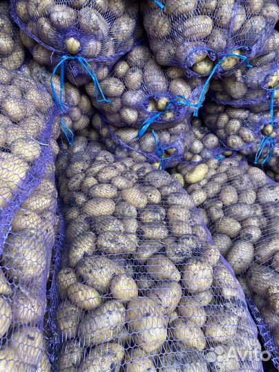 Картофель с доставкой на дом