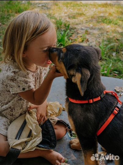 Спасённый щенок ищет любящего хозяина