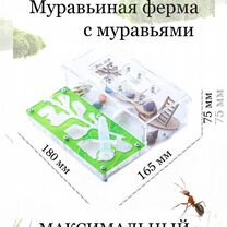 Муравьиная ферма Стандарт Лист Дерево Мох, Санкт-Петербург