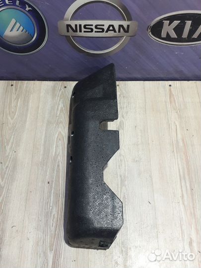 Органайзер багажника Nissan note E11 Лев