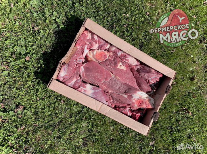 Мясо говядина