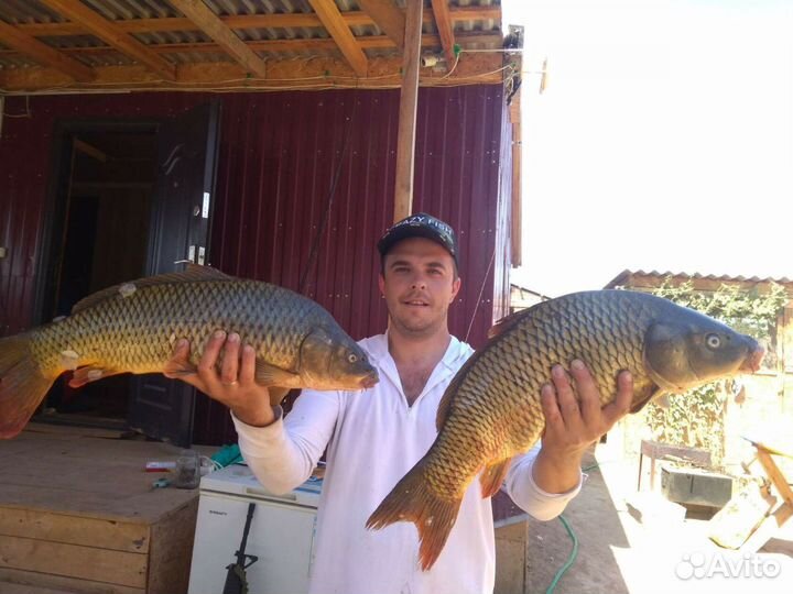 Рыбалка Астраханская обл