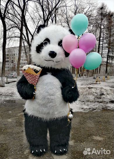 Оригинальное экспресс-поздравление от Панды