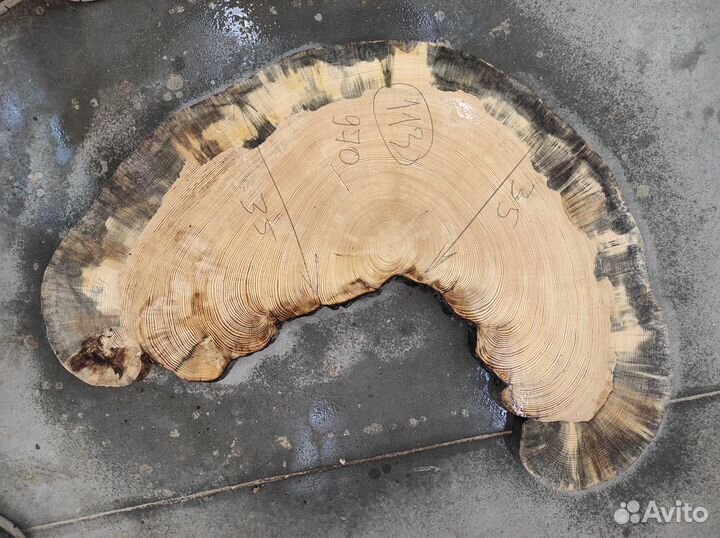 Торцевой спил дерева, слэбы из дерева