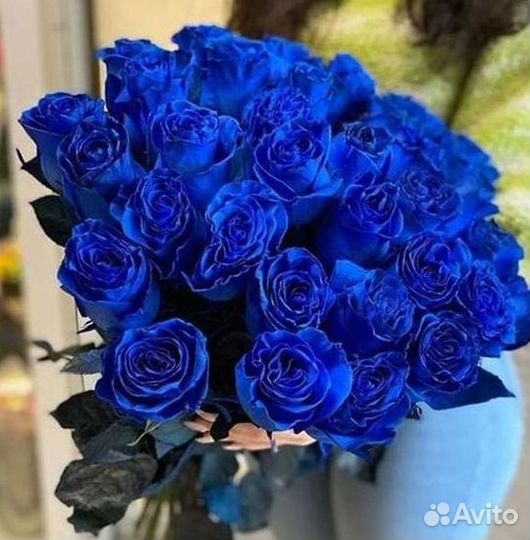 Синие розы. Букеты Цветы доставка