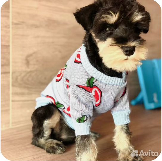 Одежда для животных 21см