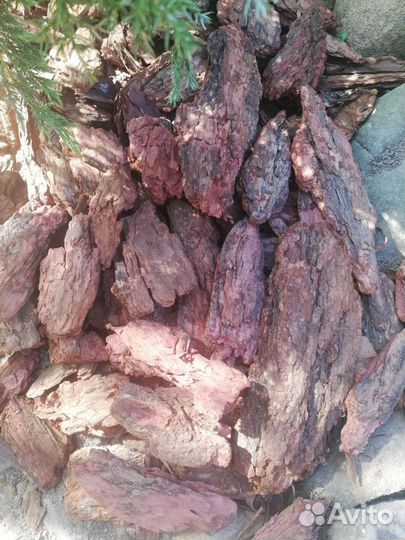 Кора сибирской лиственницы 10-20 мешки по 60л