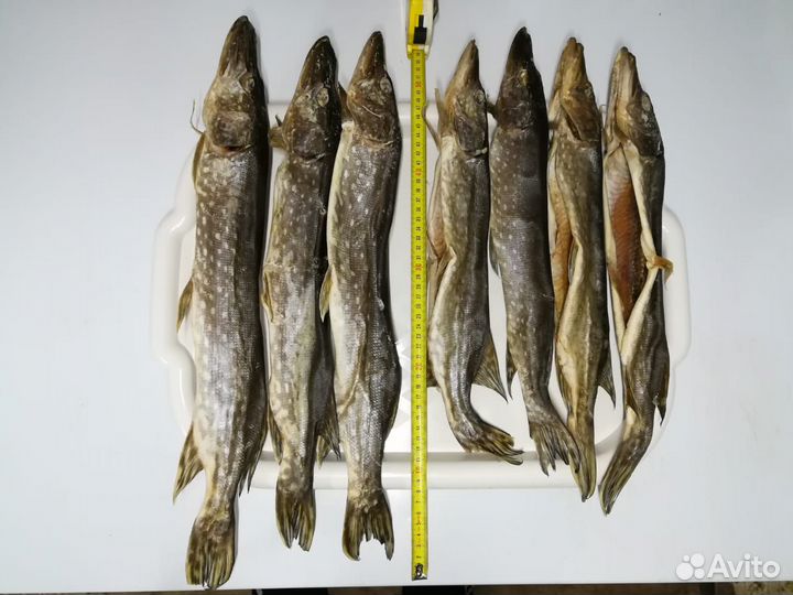 Рыба вяленая домашняя, консерва