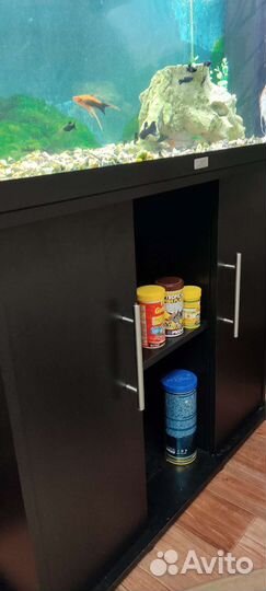 Аквариум б.у