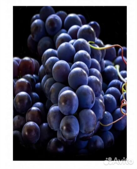 Yodeyma sexy rose Вода парфюмерная 100 мл