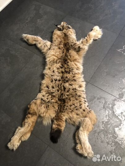 Рысь имитация