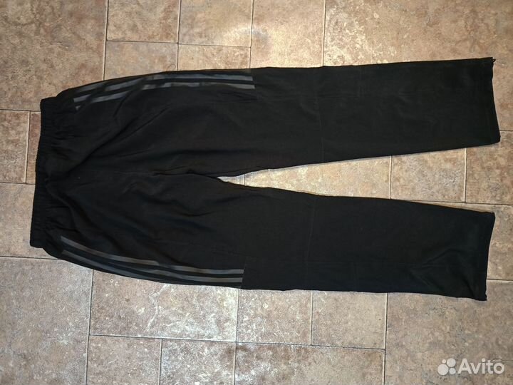 Штаны adidas terrex