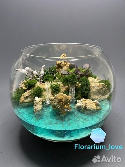 Флорариум с Деревом
