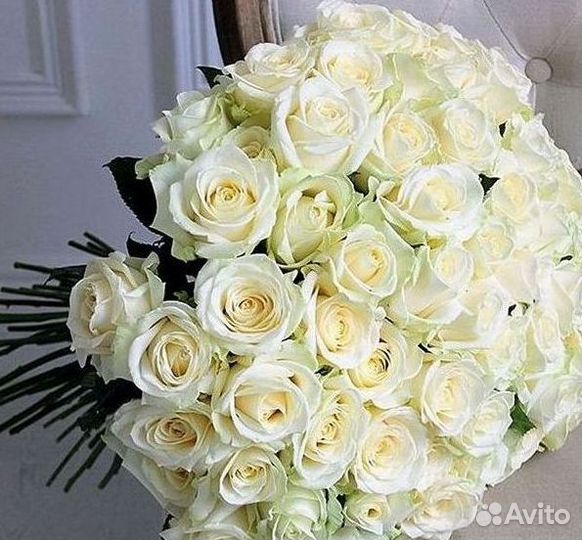 Розы Цветы Букеты 25 151 201 101 301 501 опт