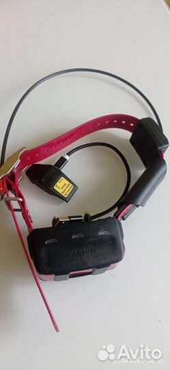 Ошейник Garmin tt10 usa Америка