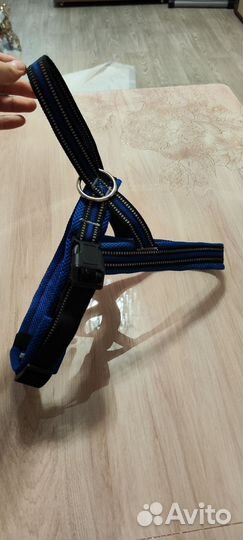 Амуниция для собак