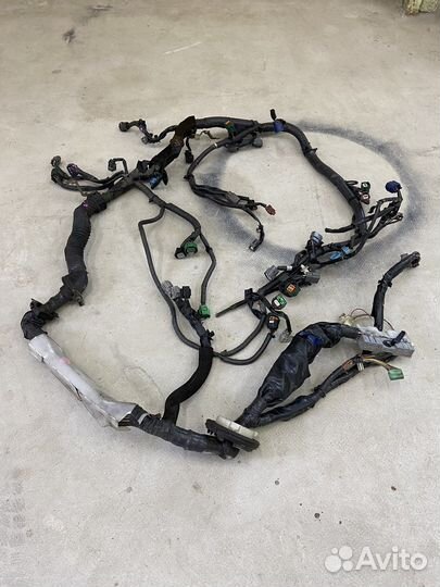 Проводка подкапотная Nissan Skyline V35 VQ30