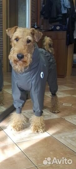 Дождевик 