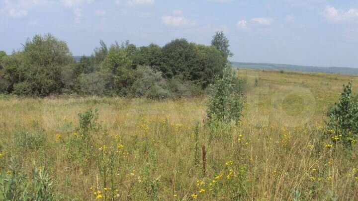 Участок 8,6 га (СНТ, ДНП)