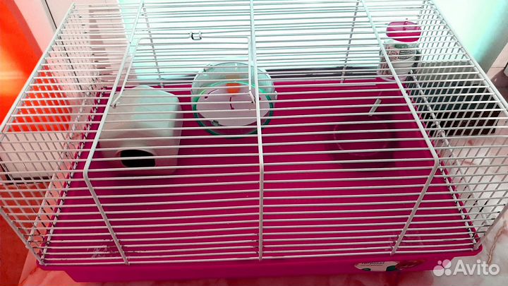 Клетка для сирийского хомяка